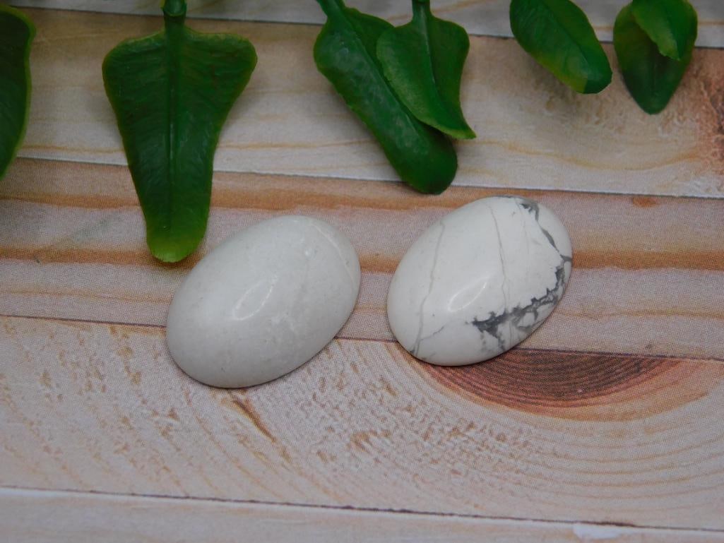 HOWLITE CABOCHONS ROCK STONE LAPIDARY SPECIMEN: HOWLITE CABOCHONS ROCK STONE LAPIDARY SPECIMEN