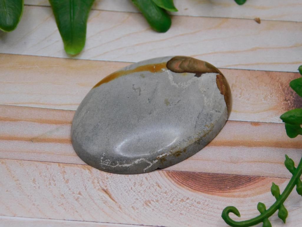 JASPER CABOCHON ROCK STONE LAPIDARY SPECIMEN: JASPER CABOCHON ROCK STONE LAPIDARY SPECIMEN