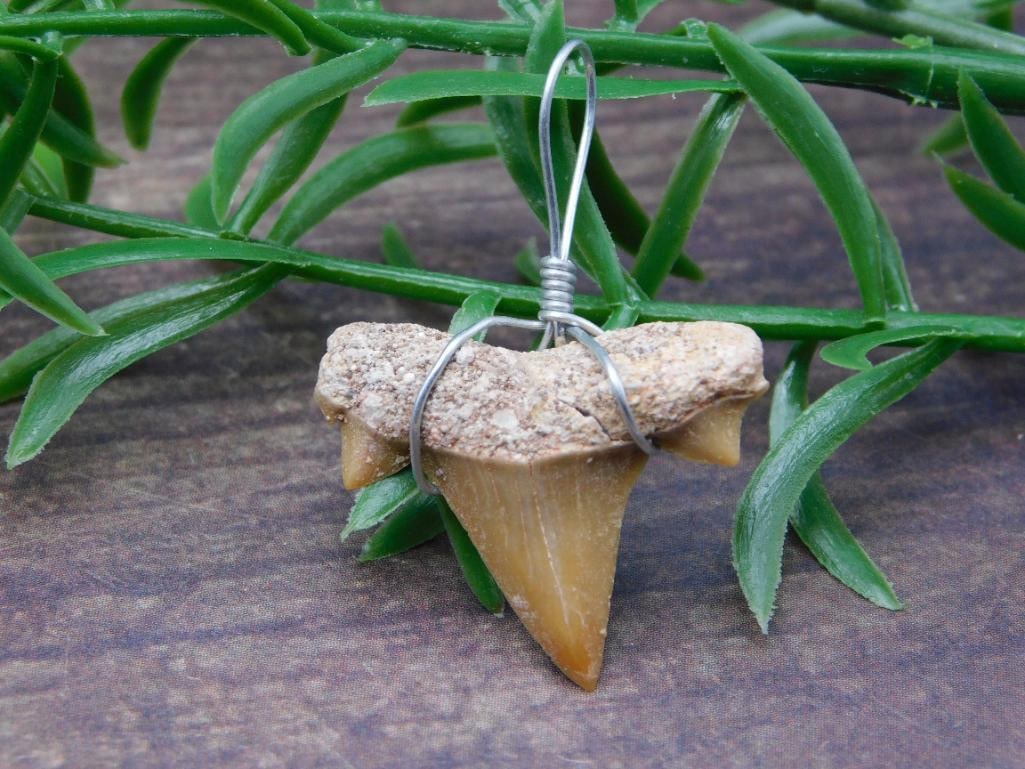 SHARK TOOTH PENDANT ROCK STONE LAPIDARY SPECIMEN: SHARK TOOTH PENDANT ROCK STONE LAPIDARY SPECIMEN
