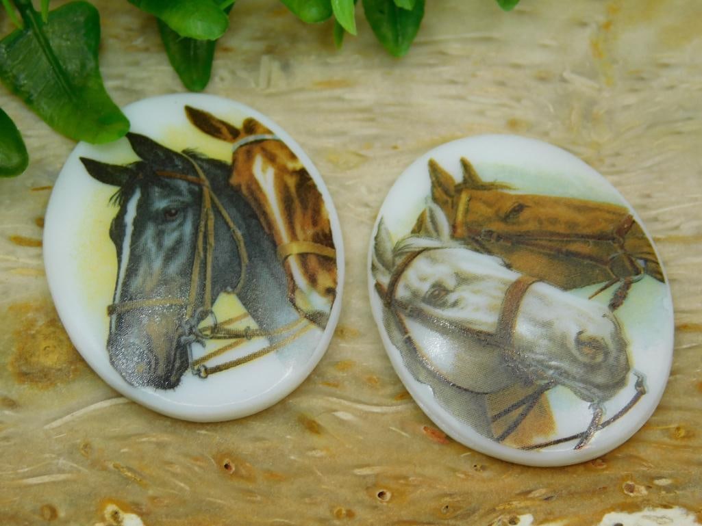 HORSE CABOCHONS ROCK STONE LAPIDARY SPECIMEN (1 of 4)