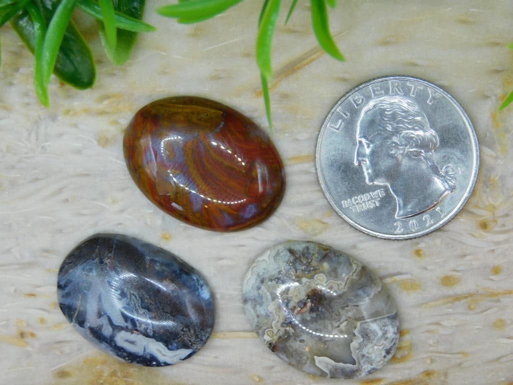 CABOCHONS ROCK STONE LAPIDARY SPECIMEN - 3