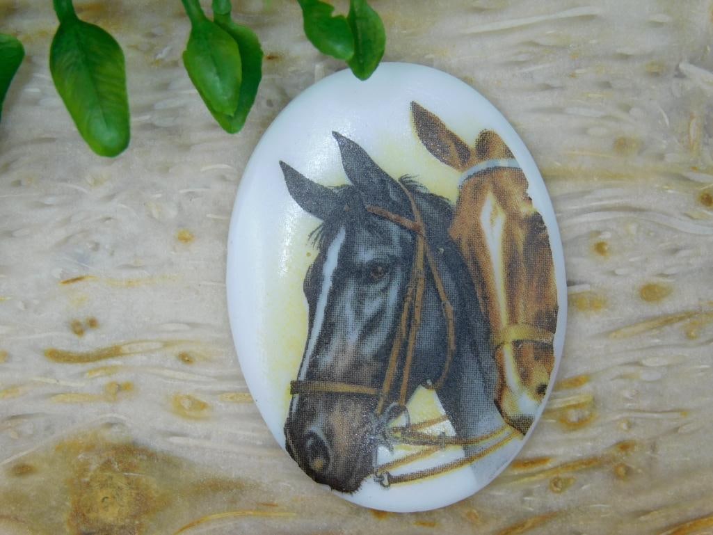 HORSE CABOCHON ROCK STONE LAPIDARY SPECIMEN: HORSE CABOCHON ROCK STONE LAPIDARY SPECIMEN