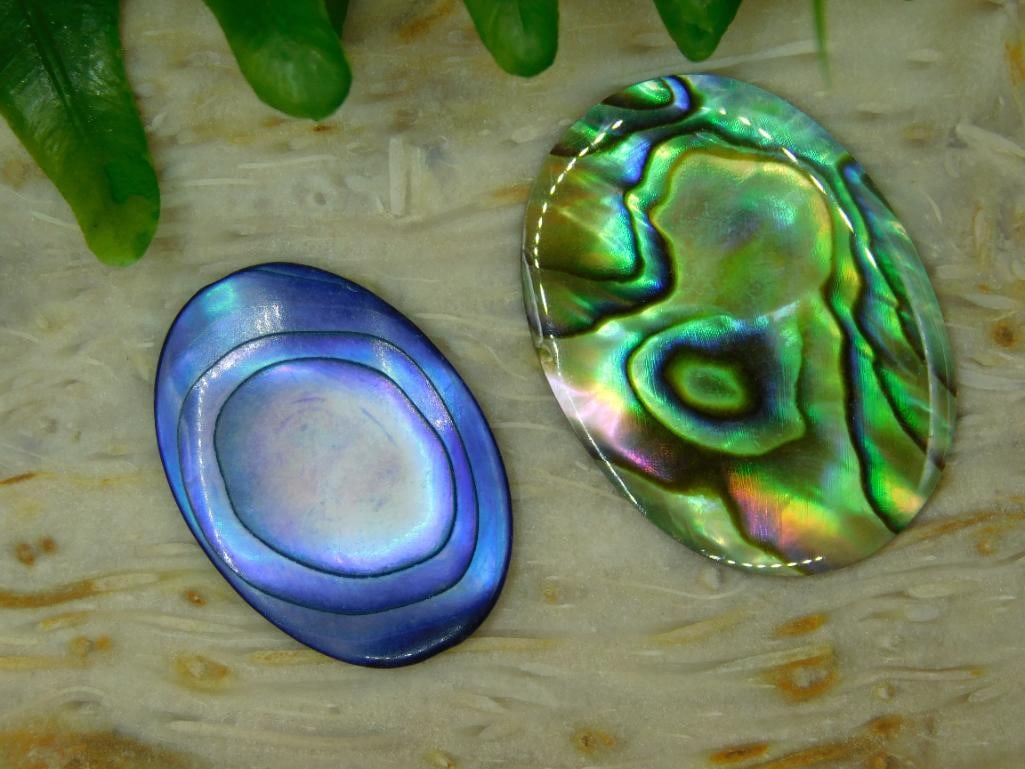 ABALONE CABOCHONS ROCK STONE LAPIDARY SPECIMEN: ABALONE CABOCHONS ROCK STONE LAPIDARY SPECIMEN
