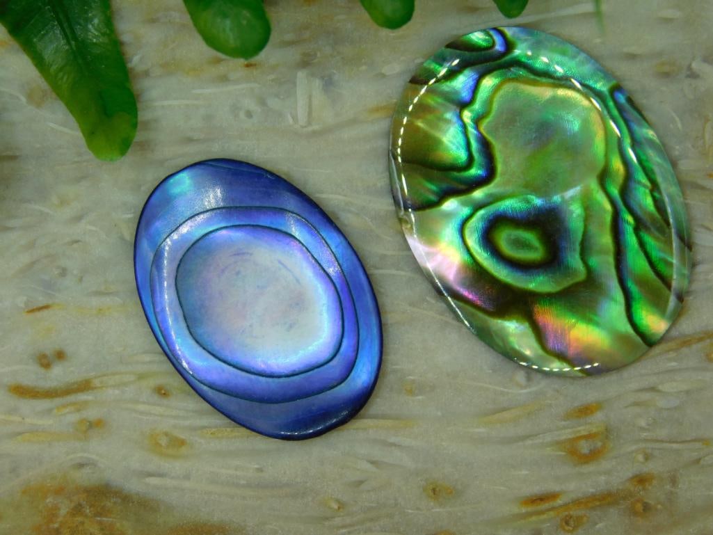 ABALONE CABOCHONS ROCK STONE LAPIDARY SPECIMEN - 2