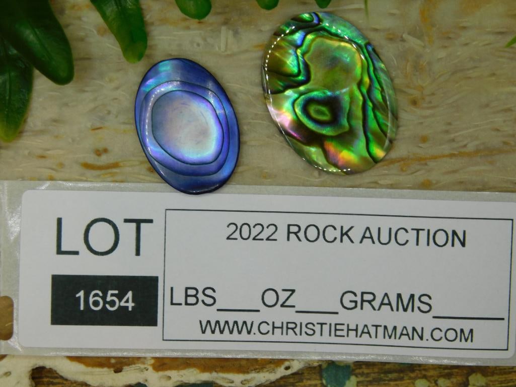 ABALONE CABOCHONS ROCK STONE LAPIDARY SPECIMEN - 3