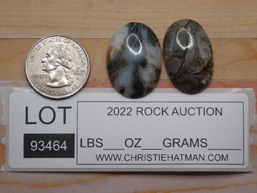 CABOCHONS ROCK STONE LAPIDARY SPECIMEN - 2