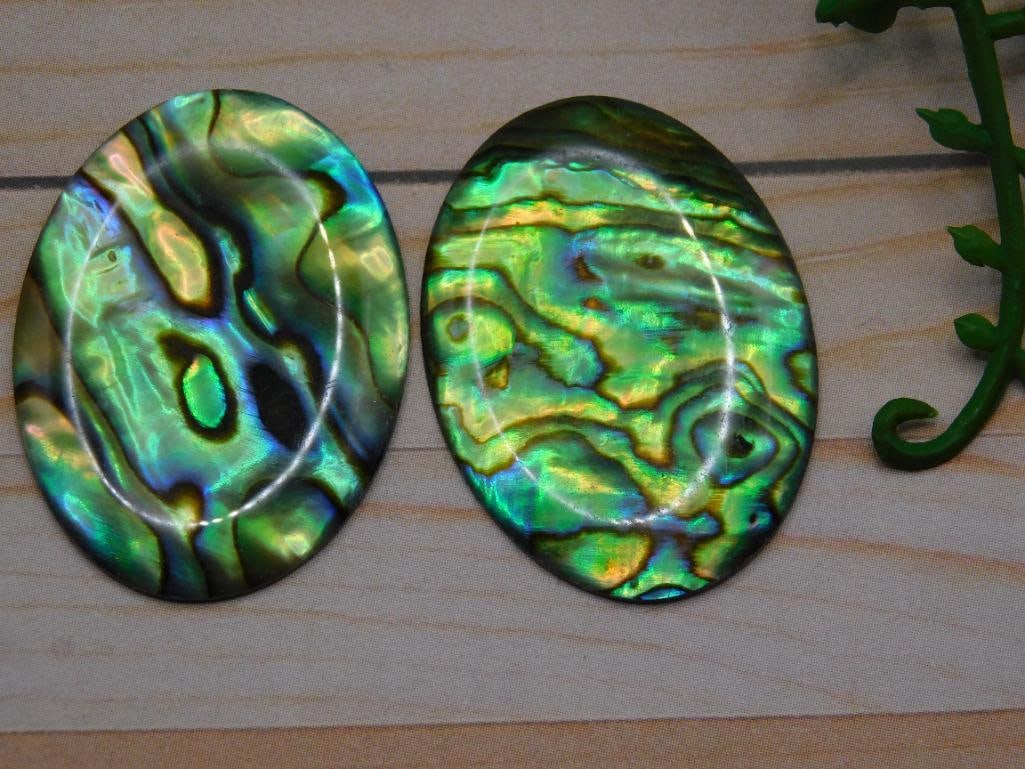 ABALONE CABOCHONS ROCK STONE LAPIDARY SPECIMEN: ABALONE CABOCHONS ROCK STONE LAPIDARY SPECIMEN