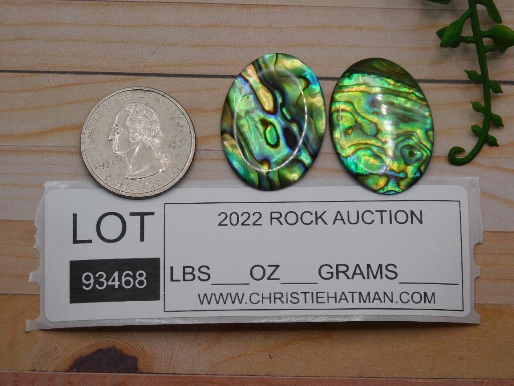 ABALONE CABOCHONS ROCK STONE LAPIDARY SPECIMEN - 2