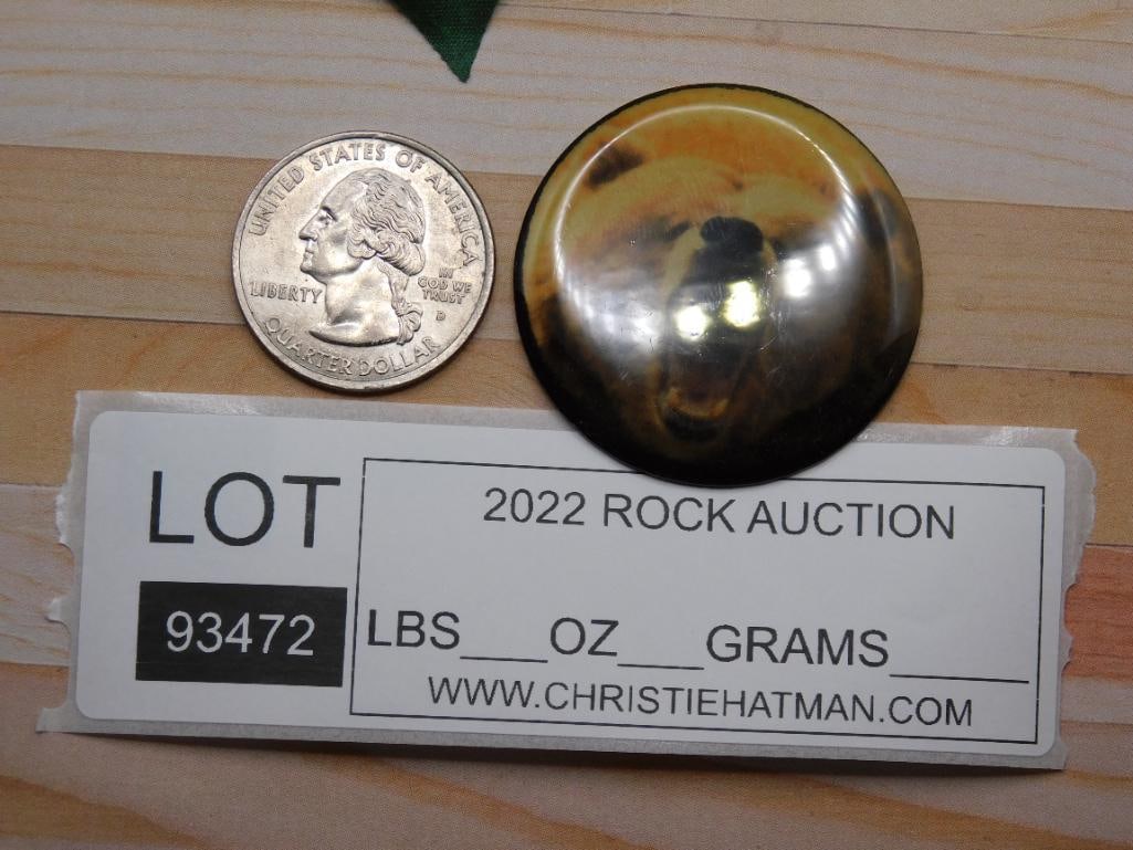 BEAR CABOCHON ROCK STONE LAPIDARY SPECIMEN - 2