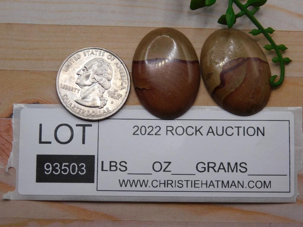 JASPER CABOCHONS ROCK STONE LAPIDARY SPECIMEN - 2