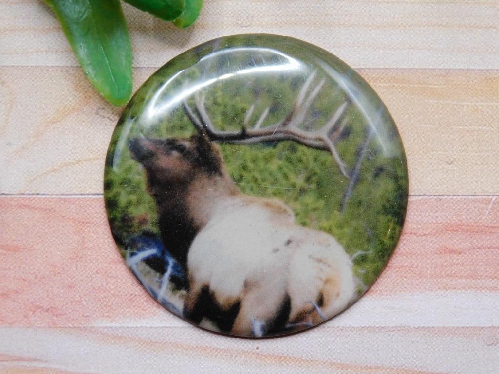 ELK CABOCHON ROCK STONE LAPIDARY SPECIMEN: ELK CABOCHON ROCK STONE LAPIDARY SPECIMEN