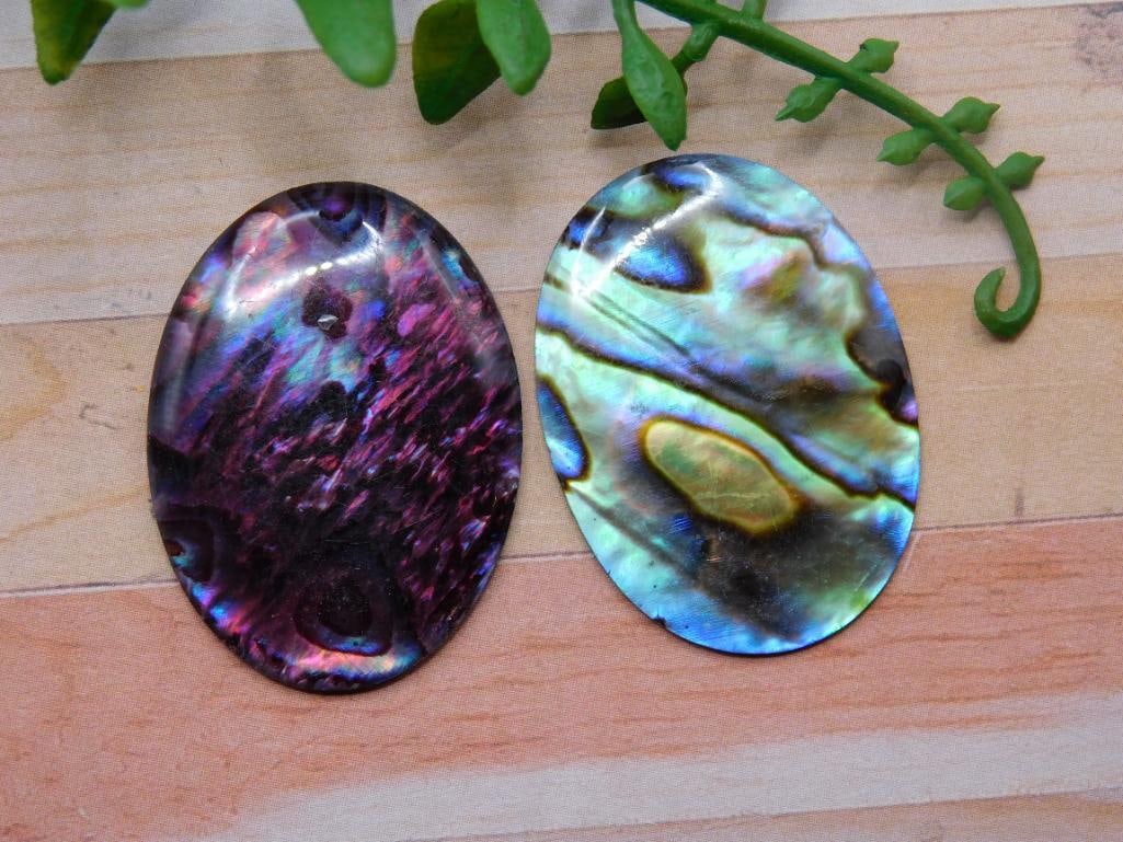 ABALONE CABOCHONS ROCK STONE LAPIDARY SPECIMEN: ABALONE CABOCHONS ROCK STONE LAPIDARY SPECIMEN