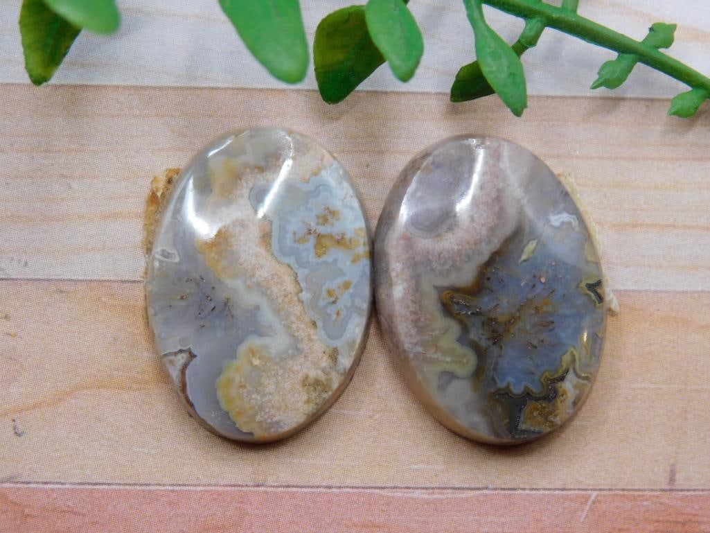 MEXICAN LACE CABOCHONS ROCK STONE LAPIDARY SPECIMEN: MEXICAN LACE CABOCHONS ROCK STONE LAPIDARY SPECIMEN