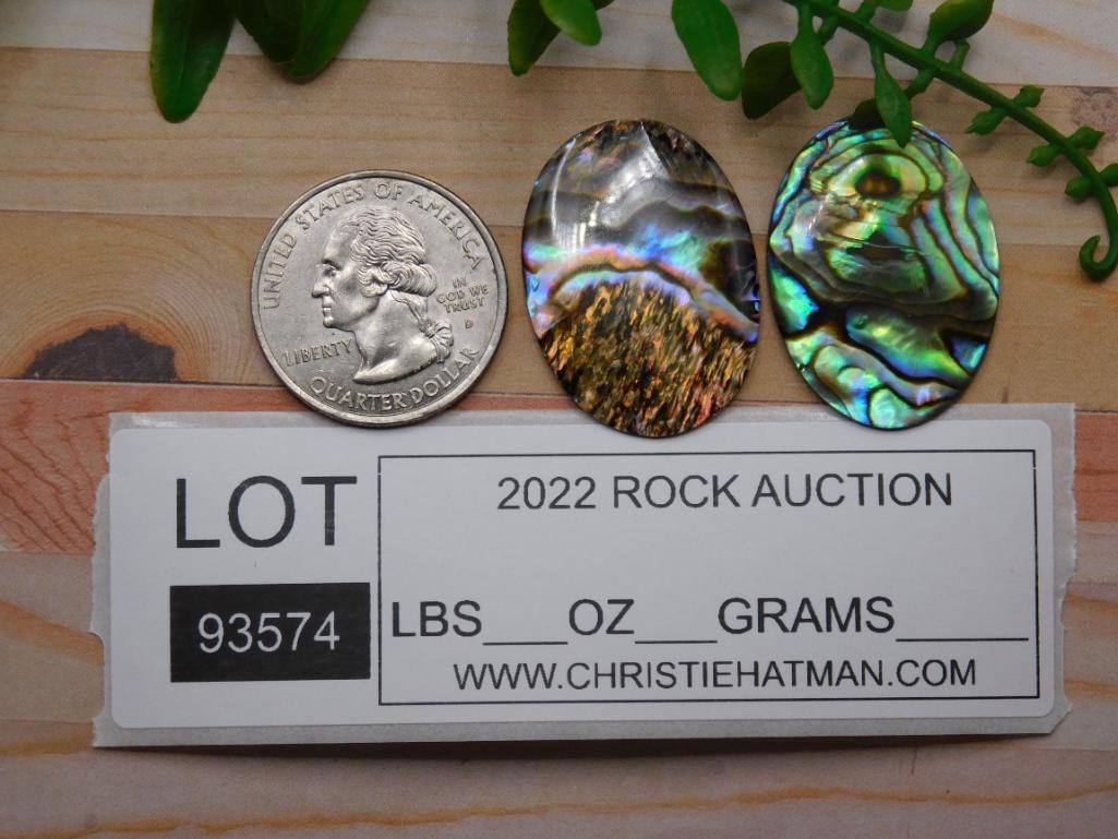 ABALONE CABOCHONS ROCK STONE LAPIDARY SPECIMEN - 2