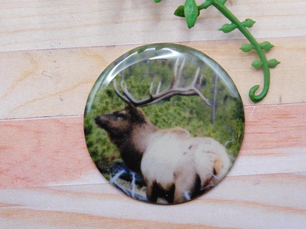 ELK CABOCHON ROCK STONE LAPIDARY SPECIMEN: ELK CABOCHON ROCK STONE LAPIDARY SPECIMEN