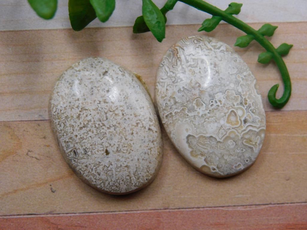 MEXICAN LACE CABOCHONS ROCK STONE LAPIDARY SPECIMEN: MEXICAN LACE CABOCHONS ROCK STONE LAPIDARY SPECIMEN