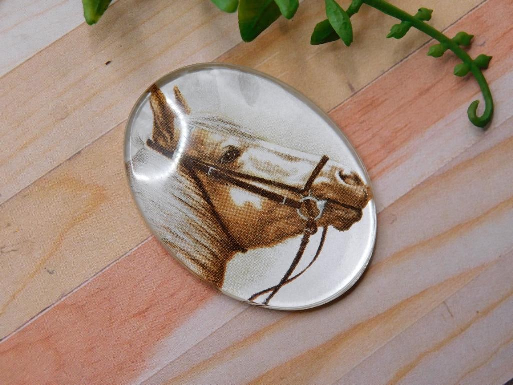 HORSE CABOCHON ROCK STONE LAPIDARY SPECIMEN: HORSE CABOCHON ROCK STONE LAPIDARY SPECIMEN