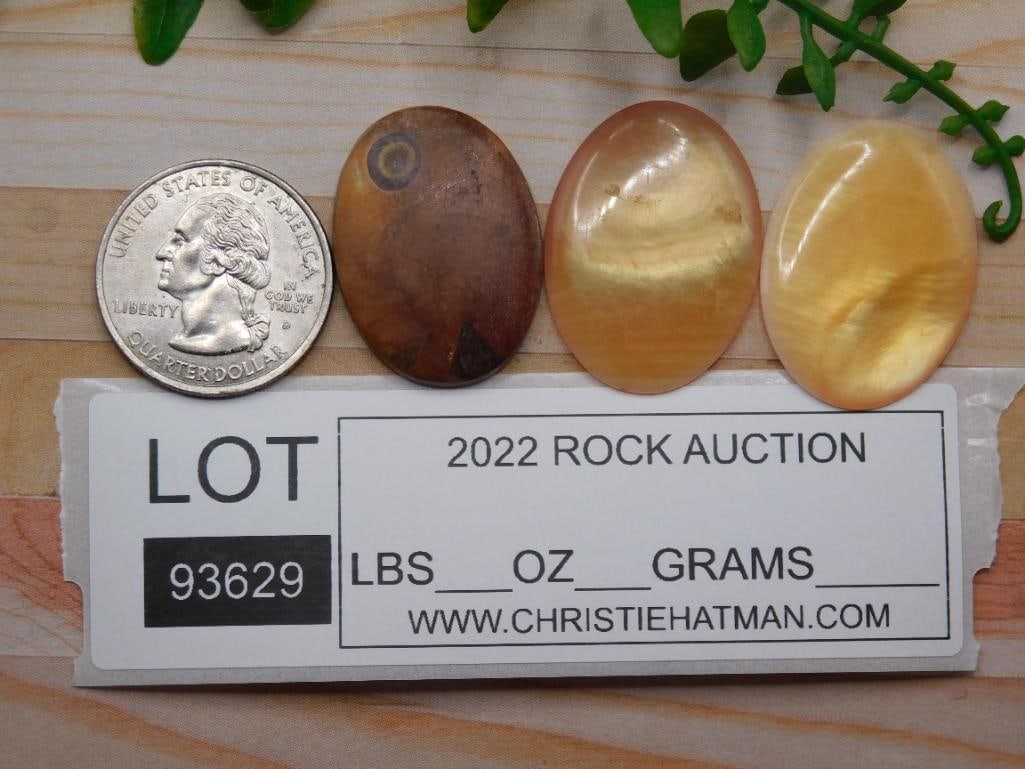 CABOCHONS ROCK STONE LAPIDARY SPECIMEN - 2
