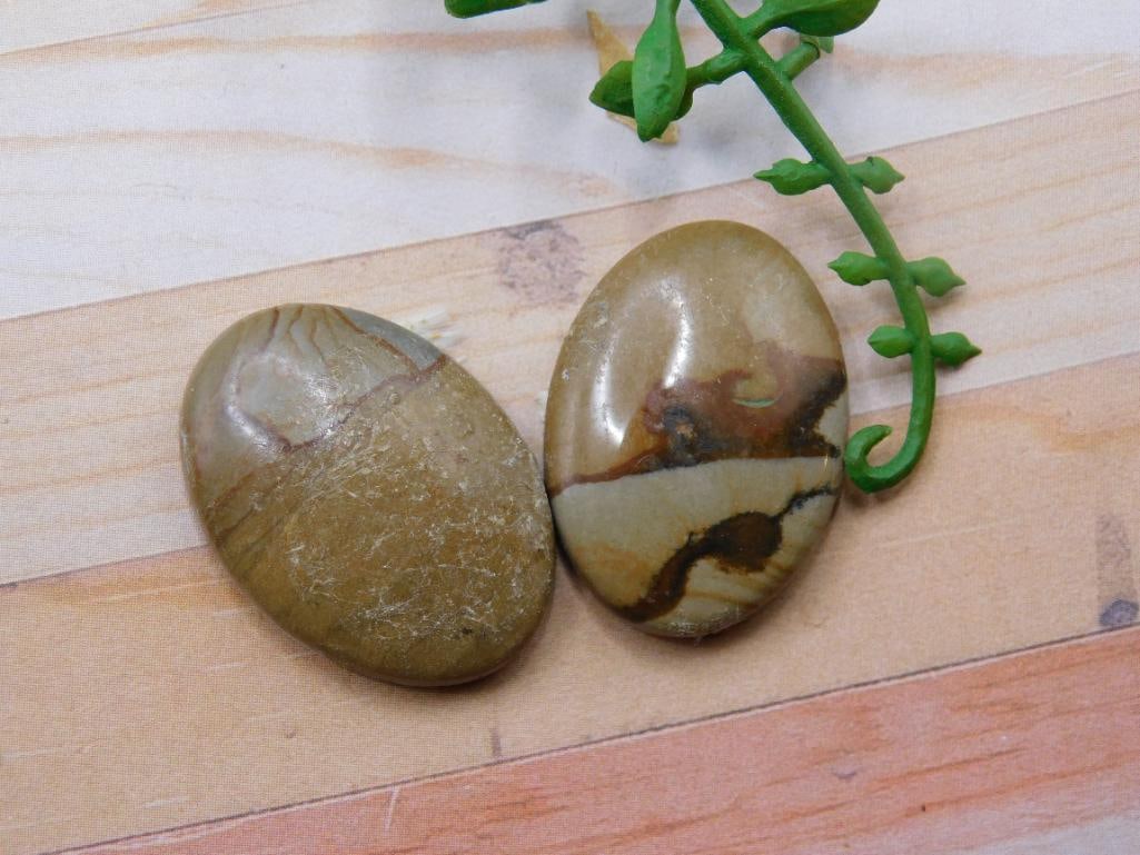 JASPER CABOCHONS ROCK STONE LAPIDARY SPECIMEN: JASPER CABOCHONS ROCK STONE LAPIDARY SPECIMEN