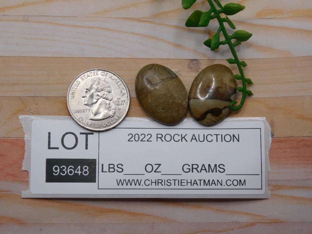 JASPER CABOCHONS ROCK STONE LAPIDARY SPECIMEN - 2