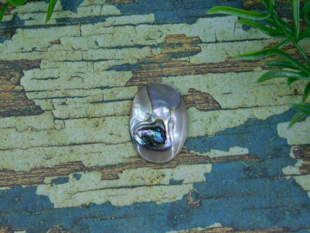 ABALONE CABOCHON ROCK STONE LAPIDARY SPECIMEN: ABALONE CABOCHON ROCK STONE LAPIDARY SPECIMEN