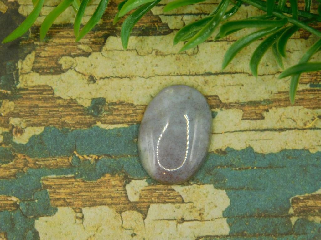 CABOCHON ROCK STONE LAPIDARY SPECIMEN: CABOCHON ROCK STONE LAPIDARY SPECIMEN