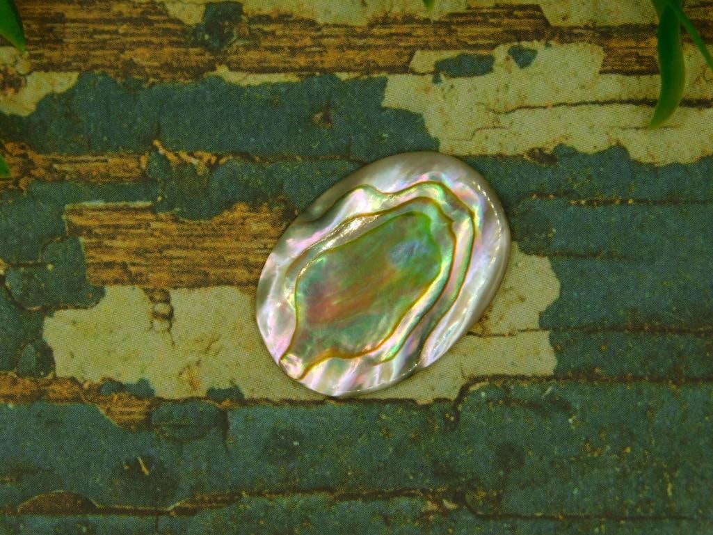 ABALONE CABOCHON ROCK STONE LAPIDARY SPECIMEN: ABALONE CABOCHON ROCK STONE LAPIDARY SPECIMEN
