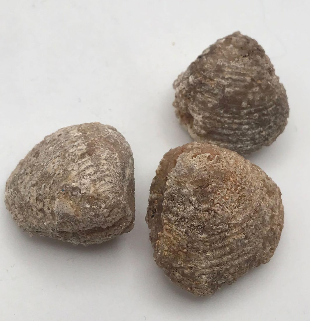 JEWELRY ROCK STONE LAPIDARY SPECIMEN: JEWELRY ROCK STONE LAPIDARY SPECIMEN