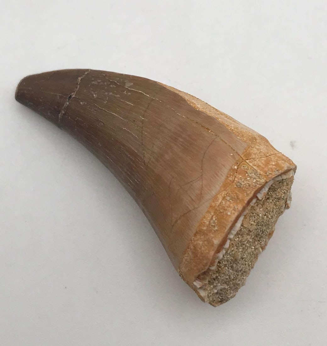 JEWELRY ROCK STONE LAPIDARY SPECIMEN (1 of 2)