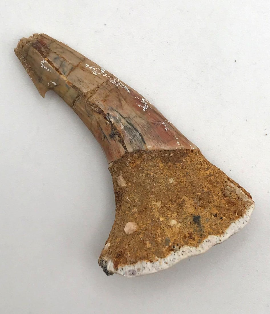 JEWELRY ROCK STONE LAPIDARY SPECIMEN (1 of 2)