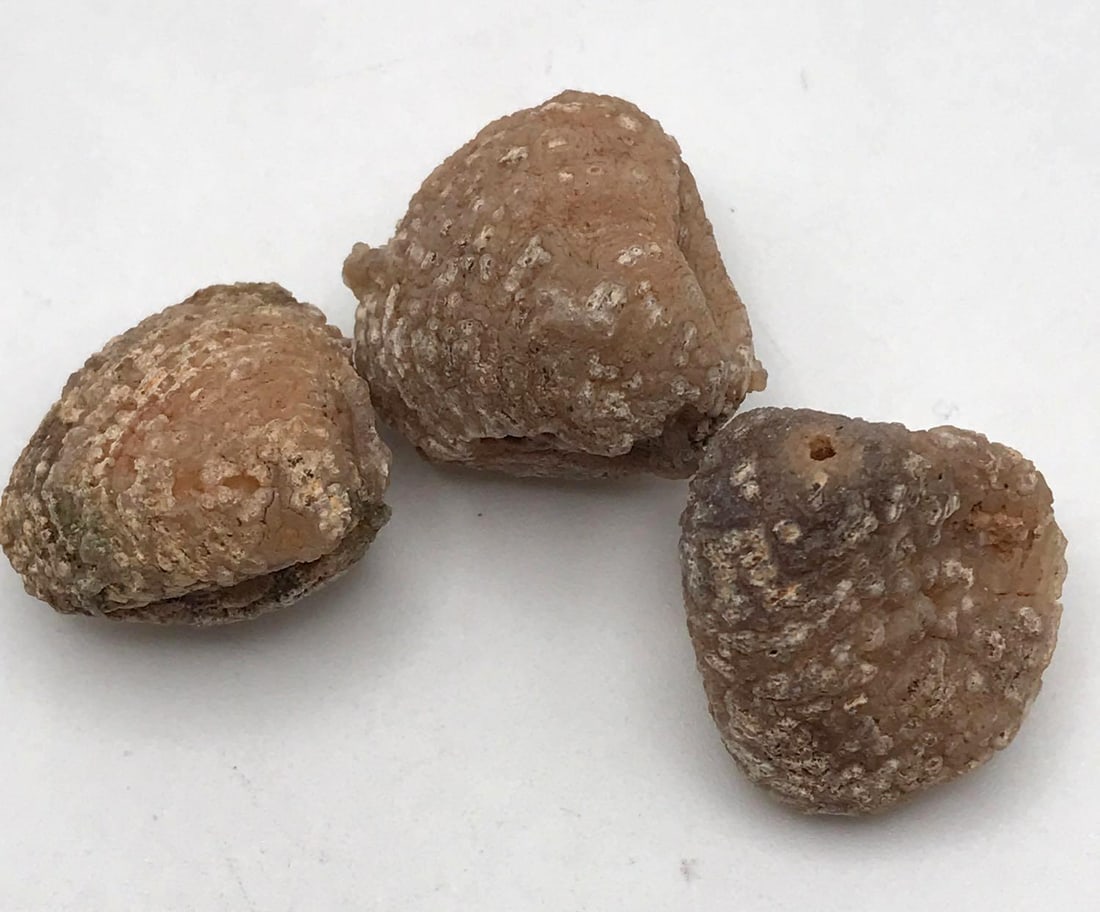 JEWELRY ROCK STONE LAPIDARY SPECIMEN: JEWELRY ROCK STONE LAPIDARY SPECIMEN