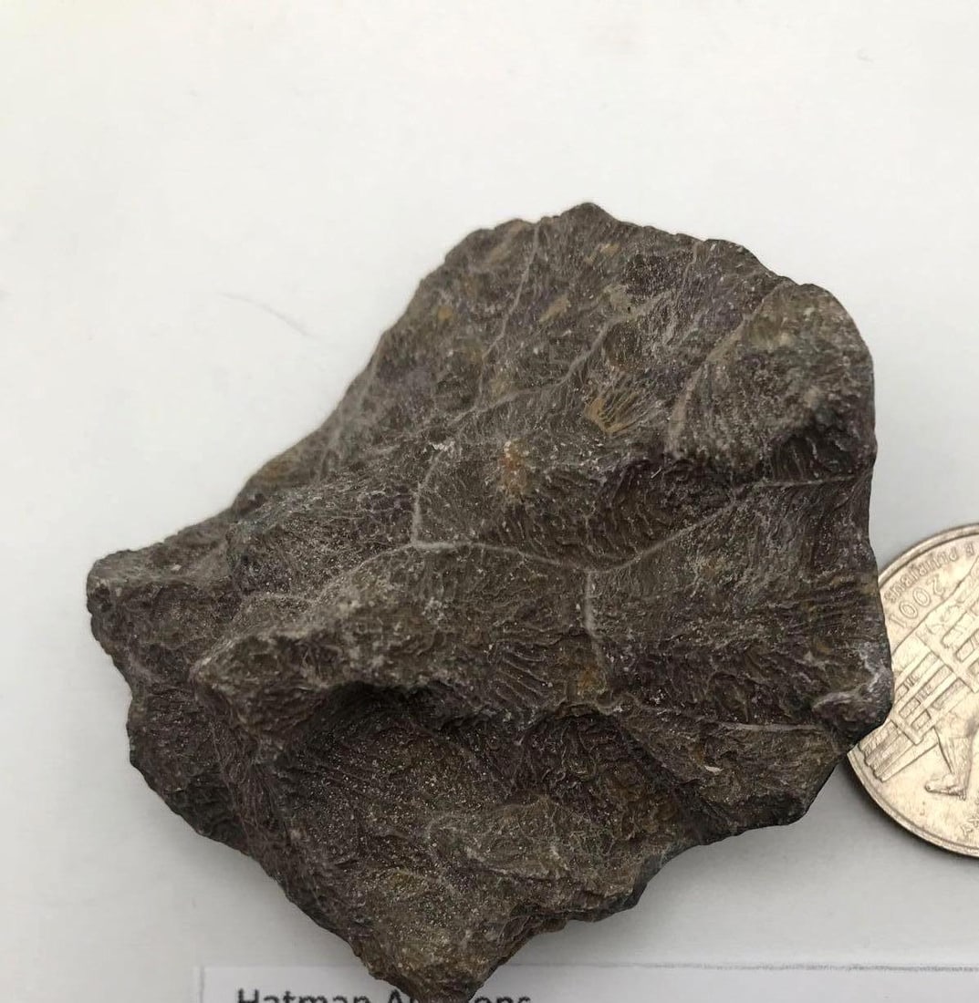 JEWELRY ROCK STONE LAPIDARY SPECIMEN (1 of 2)