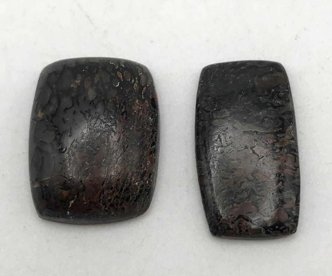 DINOSAUR BONE CAB: DINOSAUR BONE CAB