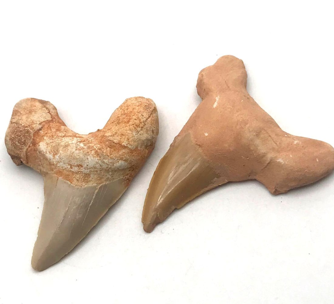 JEWELRY ROCK STONE LAPIDARY SPECIMEN (1 of 2)