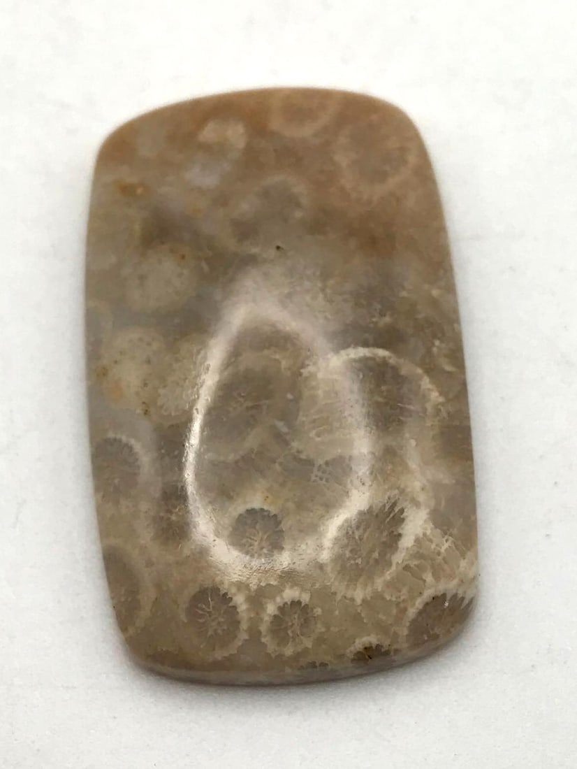 JEWELRY ROCK STONE LAPIDARY SPECIMEN (1 of 2)