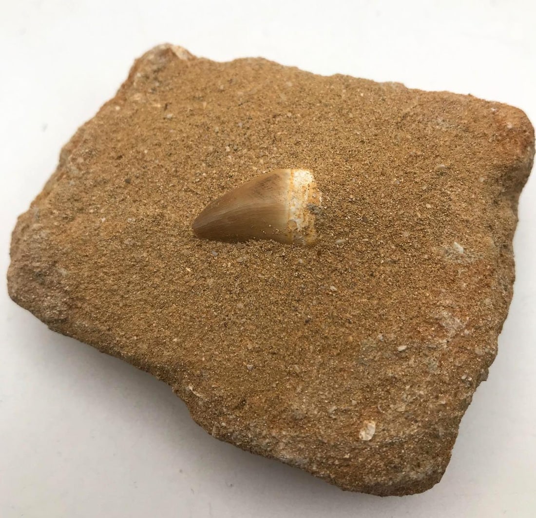 JEWELRY ROCK STONE LAPIDARY SPECIMEN (1 of 2)
