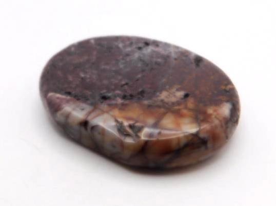 NETWORK JASPER AGATE ROCK STONE LAPIDARY SPECIMEN (1 of 1)