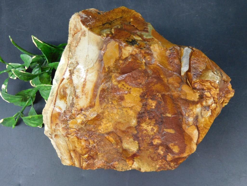 JASPER ROCK STONE LAPIDARY SPECIMEN: JASPER ROCK STONE LAPIDARY SPECIMEN