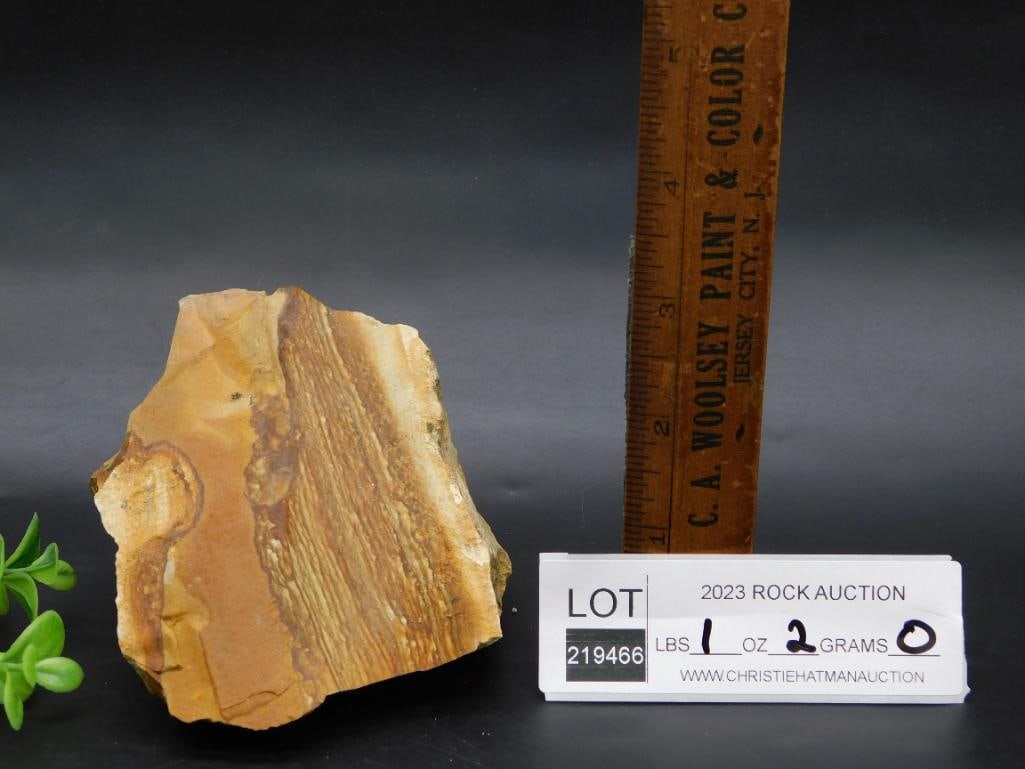 JASPER ROCK STONE LAPIDARY SPECIMEN - 2