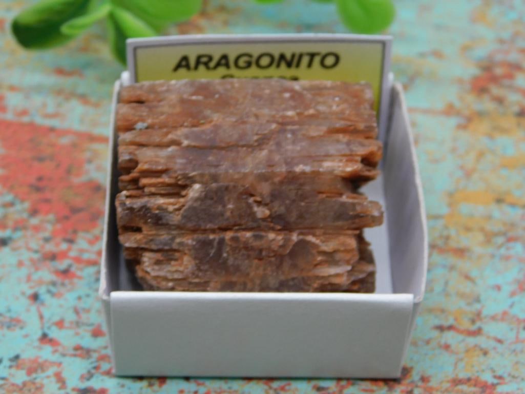 PANASQUIERA MINE PORTUGAL ROCK STONE LAPIDARY SPECIMEN: PANASQUIERA MINE PORTUGAL ROCK STONE LAPIDARY SPECIMEN