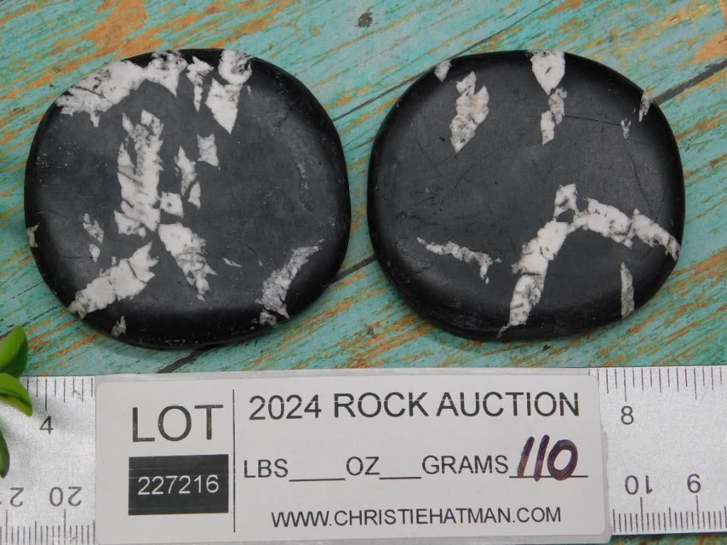 CHRYSANTHEMUM ROCK STONE LAPIDARY SPECIMEN - 2