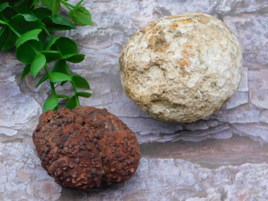 MIXED LOT ROCK STONE LAPIDARY SPECIMEN (1 of 2)