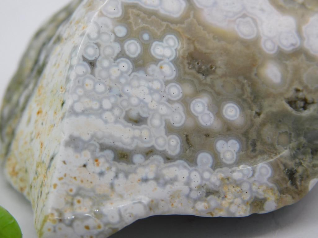 Polished Ocean Jasper Specimen - 2