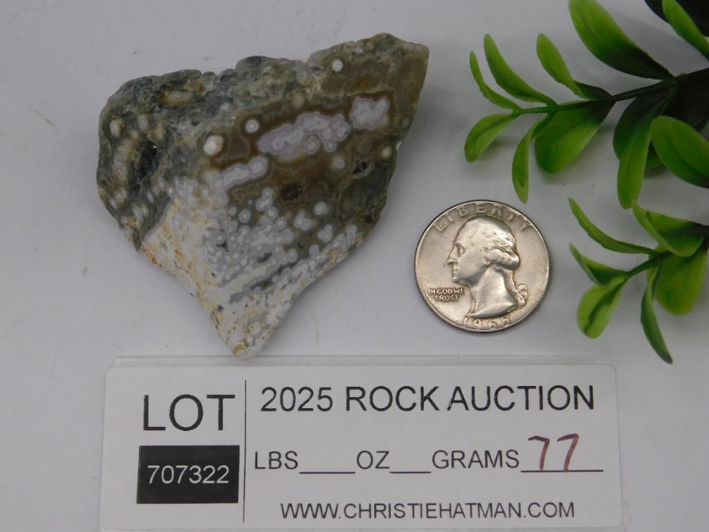 Polished Ocean Jasper Specimen - 3