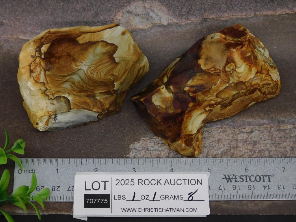 Two Jasper Rock Specimens for Display or Collection - 3
