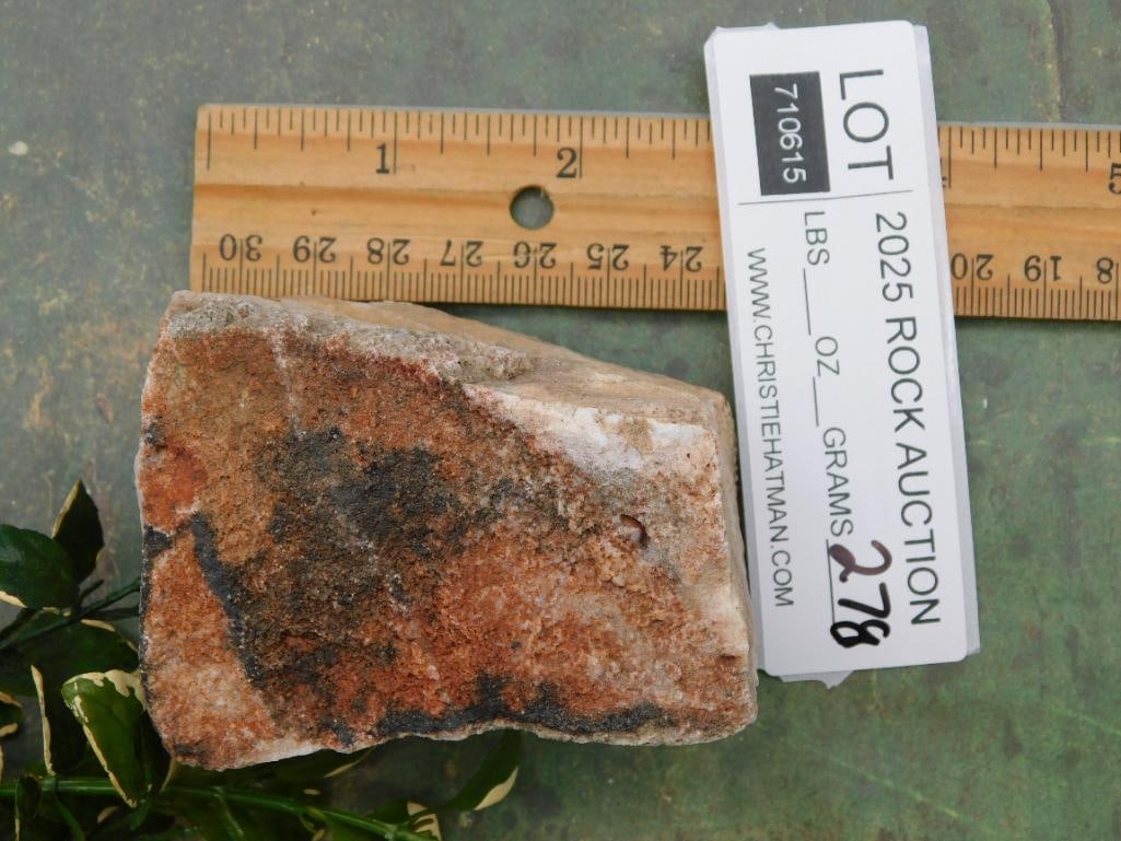 Rock Stone Lapidary Specimen - 2