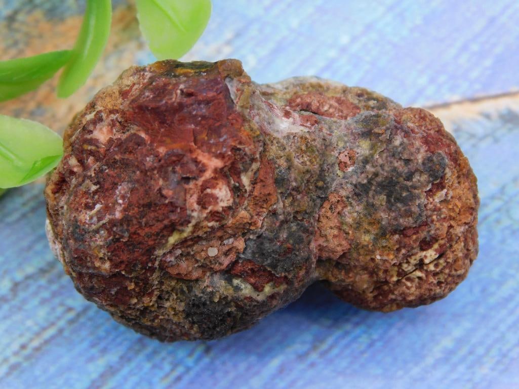 Rock Stone Lapidary Specimen: Rock Stone Lapidary Specimen