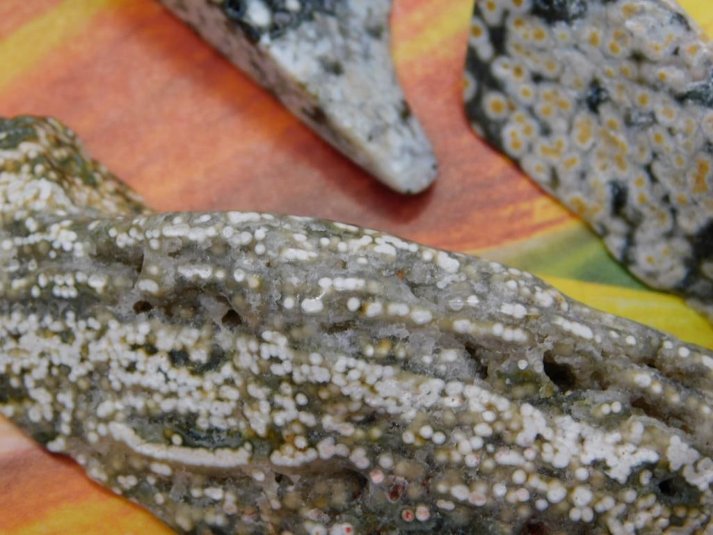 Ocean Jasper Rock Stone Lapidary Specimens - 2