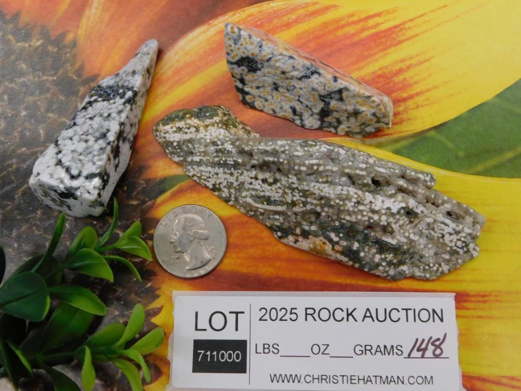 Ocean Jasper Rock Stone Lapidary Specimens - 3