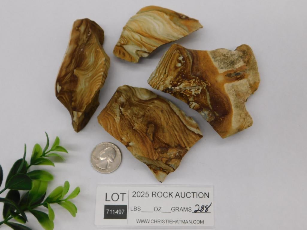 Jasper Rock Stone Lapidary Specimen - 2